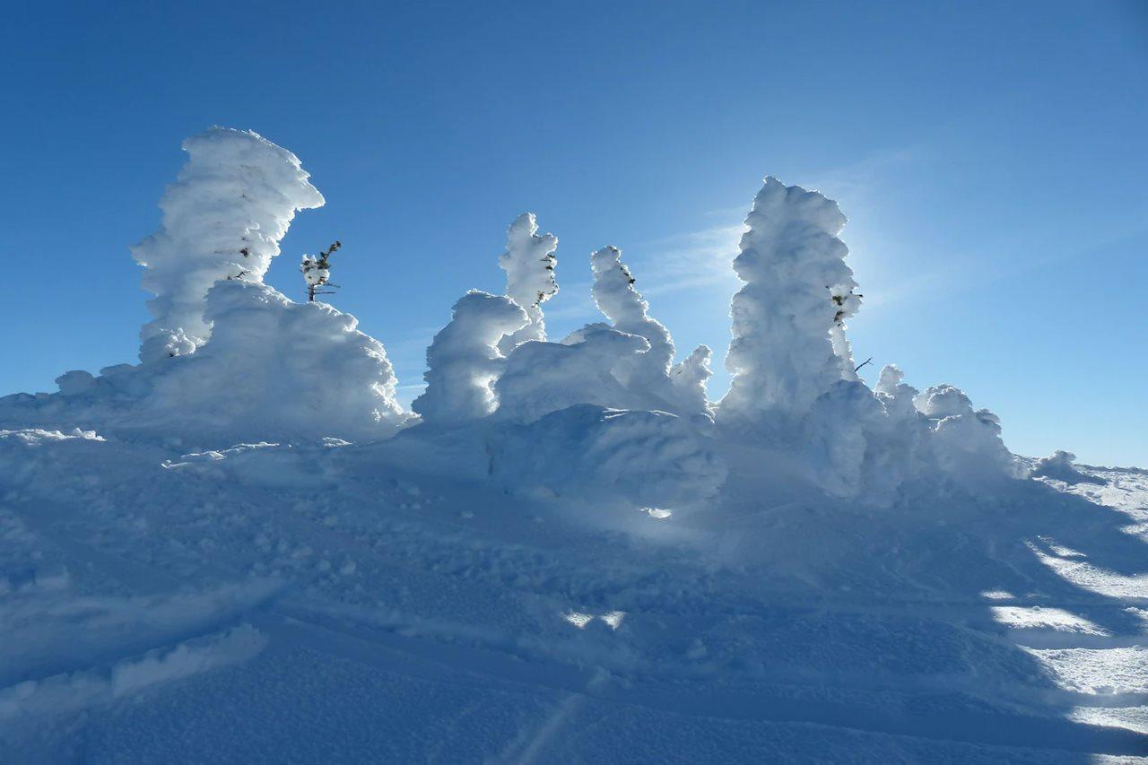 Sundance Resort Big White Exteriör bild